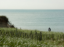 Dionis Beach, Nantucket Island, Massachusetts, U.S.A.   Photo by R, Veitas-Limantas